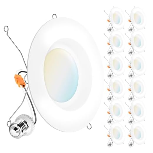 Sunco 12 Pack 5/6 Inch LED Can Lights Retrofit Recessed Lighting Selectable 2700K/3000K/3500K/4000K/5000K Dimmable, Smooth Trim, 13W=75W, 965 LM, Replacement Conversion Kit, UL Energy Star