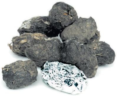 Pellets Barn Owl Pellet, Small (Pack of 20)