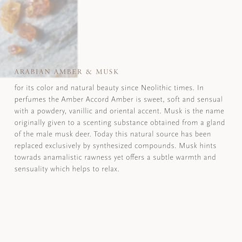 RITUALS Car Air Freshener Homme Collection - Life is a Journey Car Perfume with Arabian Amber and Musk Scent - With Reusable Wooden Holder - 6g - Image 6