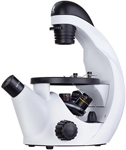 IQCrew by AmScope 40X-500X Kids Inverted Compound Microscope for Students