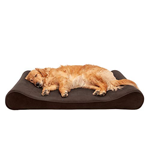 Buy Furhaven Pet Dog Bed Memory Foam Micro Velvet Ergonomic Luxe