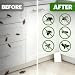 Eco Defense Pest Control Pouches - All Natural - Repels Rodents, Silverfish, Spiders, Roaches, Ants, Squirrels, & Other Pests
