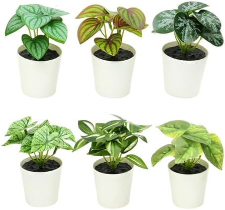 Freyalife 6 Pack Fake Plants for Room Decor,Mini Artificial Potte...