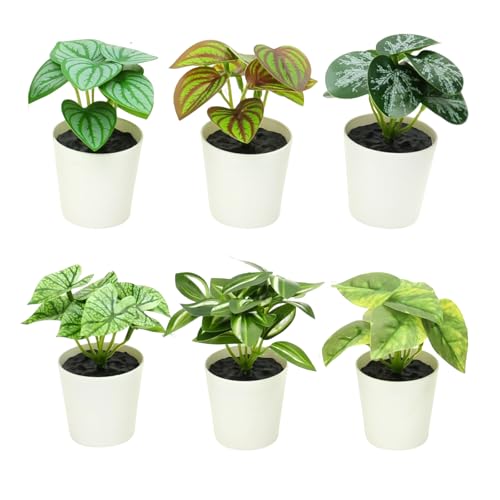 6 Pack Fake Plants for Room Decor,Mini Artificial Potted Plants for Home Office Living Kitchen Classroom Table Shelf Desk Farmhouse Bathroom Indoor Decor