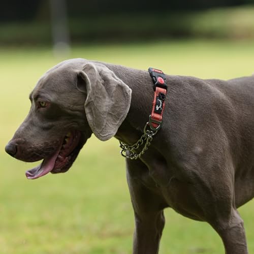 PETTOM Hundehalsband – Verstellbares, Reflektierendes Halsband mit Sicherheitsverschluss für Training, Atmungsaktives Nylon für Mittelgroße bis Große Hunde (Rot, M 43-52cm)