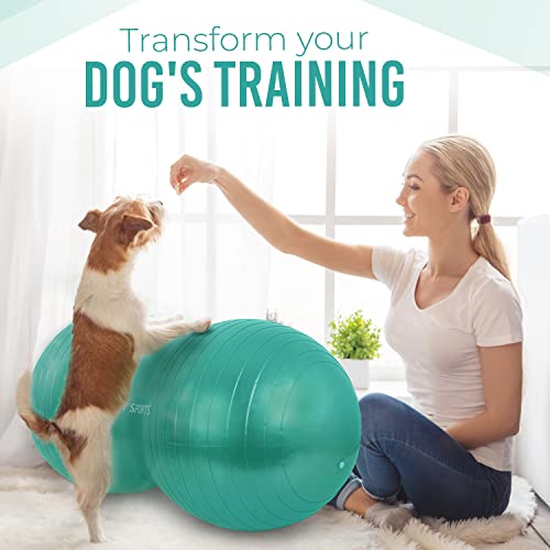 Image of INTENT SPORTS Peanut Ball - Anti Burst Ball for Exercise, Labor, Birthing, Dog Training, Kids, Home & Gym Fitness, Physio Roll, Yoga Balance, Flexible Seating for Classroom & Office - Pump Included