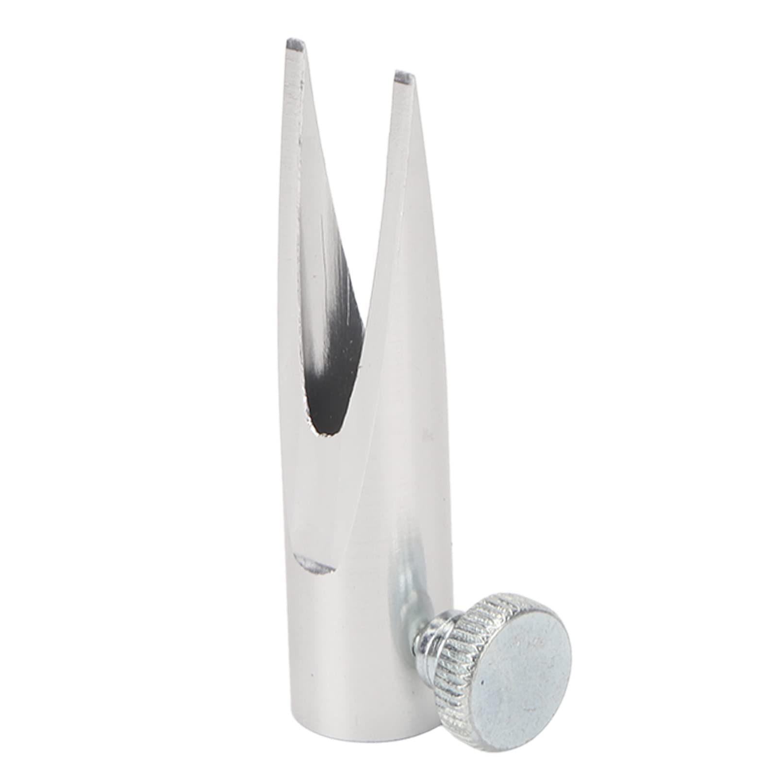 Pongnas Taille-crayon à Sourcils Professionnel en Forme de Bec de Canard, avec Vis et Boîte de Rangement pour une Application Précise du Maquillage (SILVER)