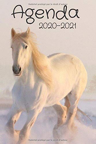 Télécharger Agenda 2020-2021: agenda scolaire 2020-2021 cheval PDF