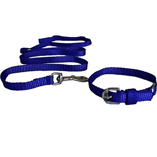The DDS Store Puppy Cat Leash with Collar Set (Small)-Color May Vary (B07G5JKX3L) Amazon Price History, Amazon Price Tracker