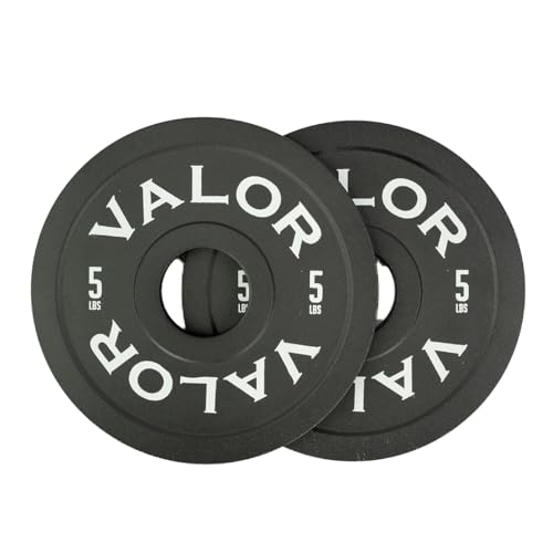 Valor 45 lb Cast Iron Weight Plate