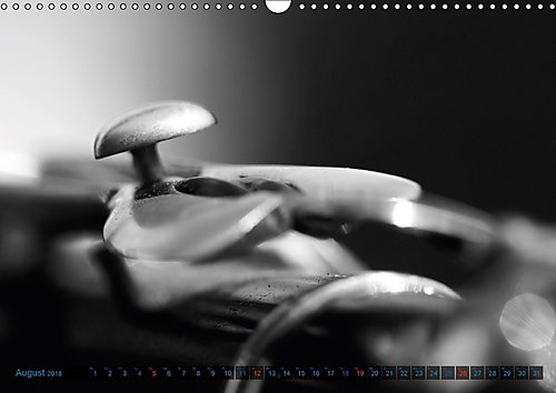 Klarinette - close up (Wandkalender 2018 DIN A3 quer): Detailaufnahmen einer Klarinette (Monatskalender, 14 Seiten ) (CALVENDO Hobbys) [Kalender] [Apr 01, 2017] Drafz, Silvia