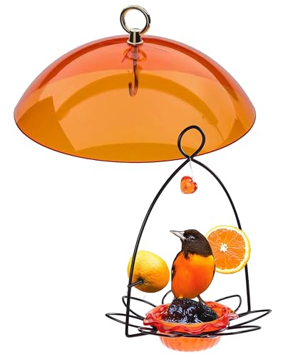 Birds Choice 10" Hanging Bird Feeder Protective Dome Cover, Orange