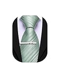 Barry.Wang Sage Green Silk Men Ties Formal Stripes Necktie Solid Color Tie Clip Wedding Party Business Fashion Classic