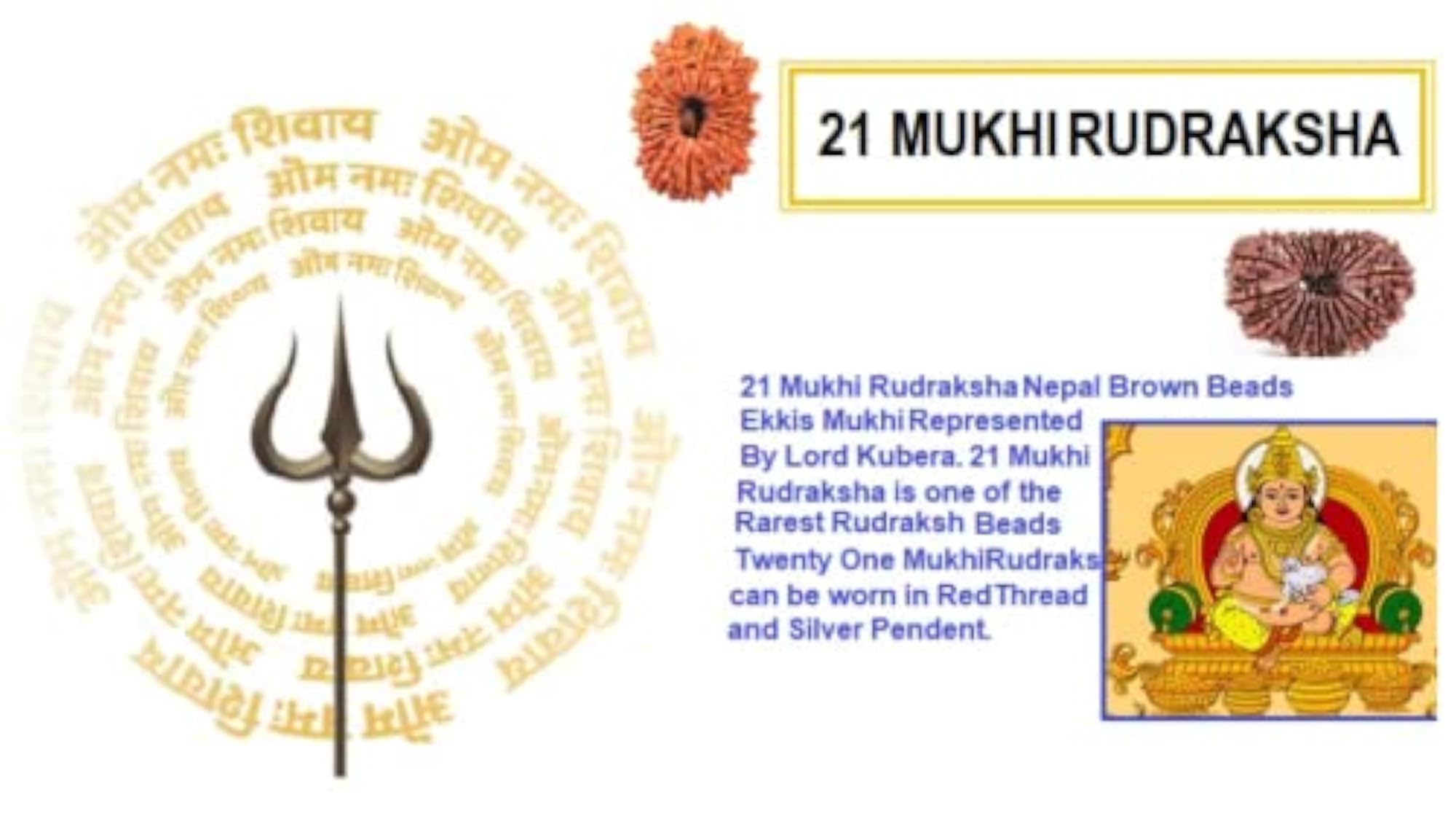 21 Mukhi Rudraksha Original Nepali Pendant, Certified