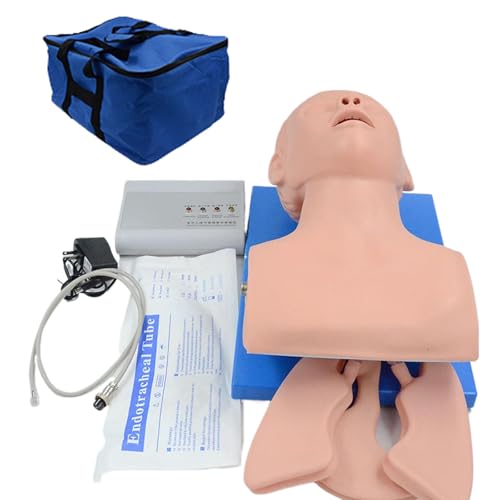 Entraîneur d'intubation AMITD avec alarme pour formation médicale - 2