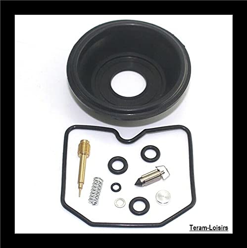 Teram Loisers - Kit de reparación de carburador y membrana compatible con Suzuki GSF 600 Bandit de 1996 a 2003.