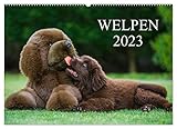 VIELFALT - Bildkalender in verschiedenen Formaten z.B. DIN A5, DIN A4, DIN A3 sowie DIN A2. Ob Naturmotiv, Gemälde oder Fotos, ideal für ein persönliches Wohlfühlambiente.