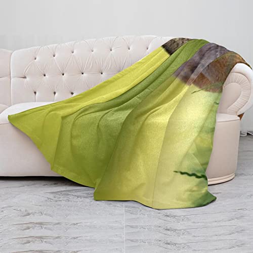 Couverture polaire cerf sur l'herbe plaid de lit et canapé TBOUOBT
