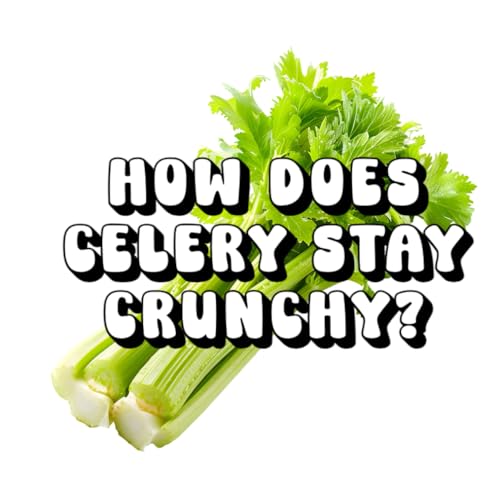 How Does Celery Stay Crunchy?