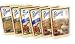 Pioneer Brand Gravy Variety Bundle, 2.75 oz (Pack of 6) includes 2-Count Peppered Gravy Mix + 2-Count Country Sausage Flavor Gravy Mix + 2-Count Country Gravy Mix