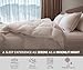 baisihan OverCloud™ Goose Down Comforter, Queen Size All Seasons Down Duvet Insert, Hotel Collection Comforter Ultra Soft 700+ Fill Power Down Proof Duvet Insert with Corner Tabs (90