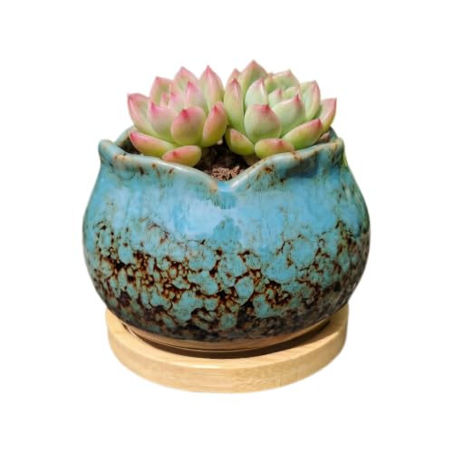 SJBAG Cute Circular Ceramic Home Garden Decoration Succulent Cactus Flower Pots Container -Plant Not Included (Blue, 4 Inch)