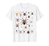 Educational Science Ideas