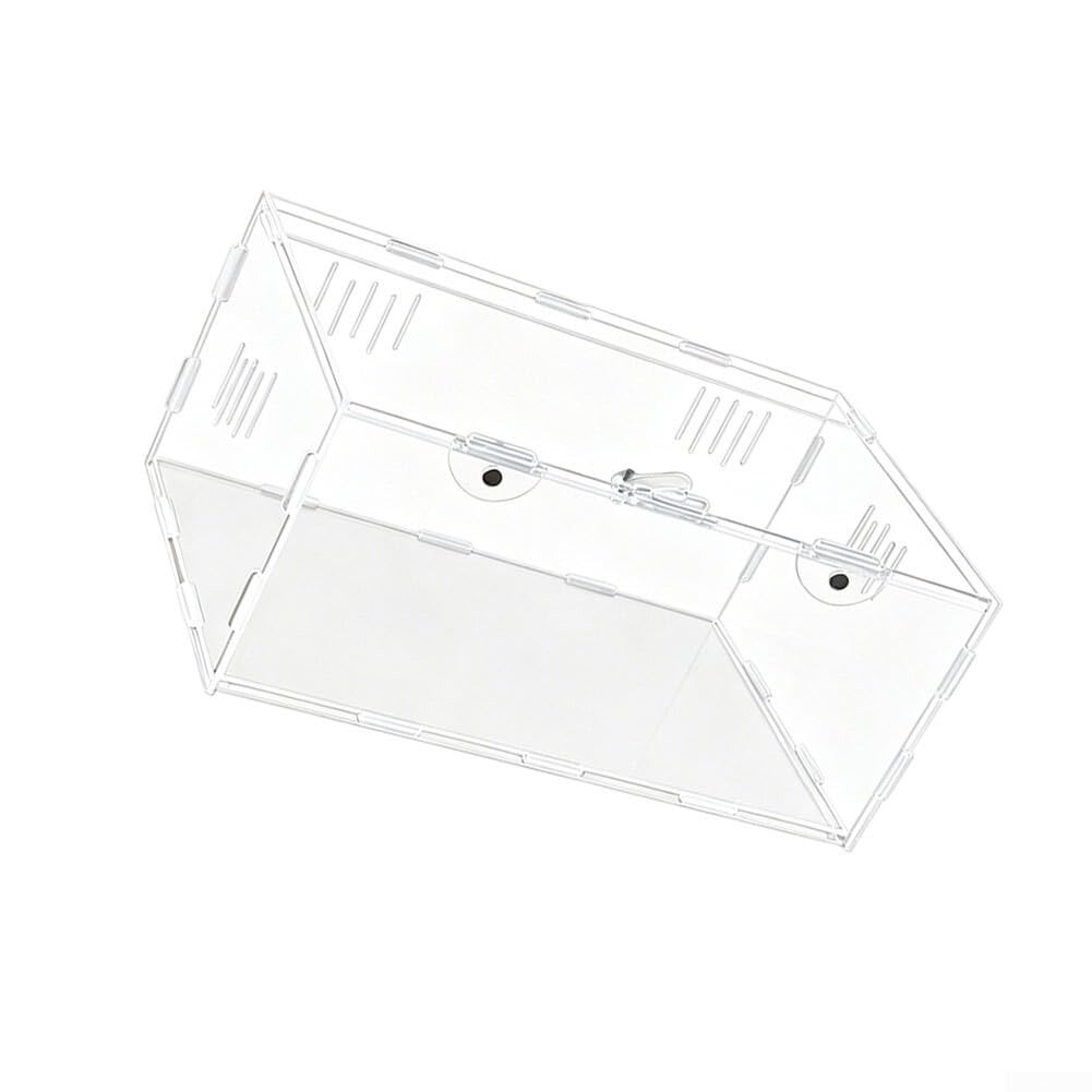Jaula de terrario construida de acrílico con paredes transparentes, ventilación de triple lado y tapa de bloqueo para seguridad de reptiles pequeños (40 x 25 x 20 cm)