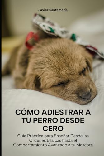 Cómo Adiestrar a tu Perro Desde Cero: Guía Práctica para Enseñar Desde las Órdenes Básicas hasta el Comportamiento Avanzado a tu Mascota