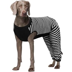 Kuoser Hundebody Nach Op Und Kastration – Op Anzug Für Hunde Und Hündinnen – Dunkel 4XL