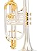 AUROSUS Double Trigger Bb Cornet 8358S Intermediate phosphor bronze Leadpipe 3rd Tuning Slide Finger Ring Brass Bell SGG Finish Nickel Silver Tuning Slides for High School Band and Advancing Players