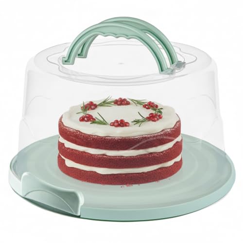 414WWWOSXjL._SL500_ Best bundt cake carriers