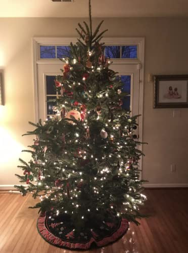 Rocky Mountain Goods Christmas Tree Stand For Live Tree With Water - Up To 8 Foot Tree - 5 Secure Eye Bolts - Steel Spike For Stability - Easy Watering For 2 Gallons - Install Real Tree In Minutes #TOP4