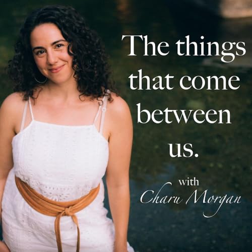 The Things That Come Between Us with Charu Morgan cover art