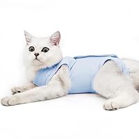 Kattenbody
