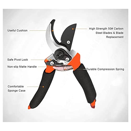 Image of Boniry 8 Inch Heavy Duty Plant Cutter For Home Garden Scissors | Plant Branch Cutter For Tree | Garden Tools For Home Gardening Scissors | Prunning Branch Cutter (Garden Cutter)
