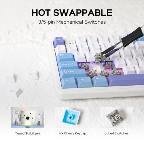 Image of EPOMAKER Aula F108 Wireless Gaming Keyboard, Mechanical Keyboard with 8000 mAh Battery, 108 Hot-Swap and Programmable Keys, RGB Backlight, for Mac /PC /Android (White Purple, Greywood V3)