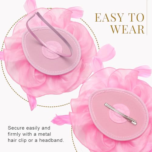 Image of DRESHOW Fascinators Hat Tea Party Headwear Ribbons Feathers on a Headband and a Clip for Women
