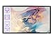 ELITE SCREENS ER135DHD3 16:9 Sable 3D Frame Screen (135")