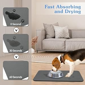 Stone Drying Mat for Dog Bowls, 2 Pack Pet Feeding Mat Water Absorbent Stone Drying Mat for Dog Water Bowl Non-Slip Natural Diatomaceous Earth Stone Mat for Pet Bowls & Kitchen Counter, Gray