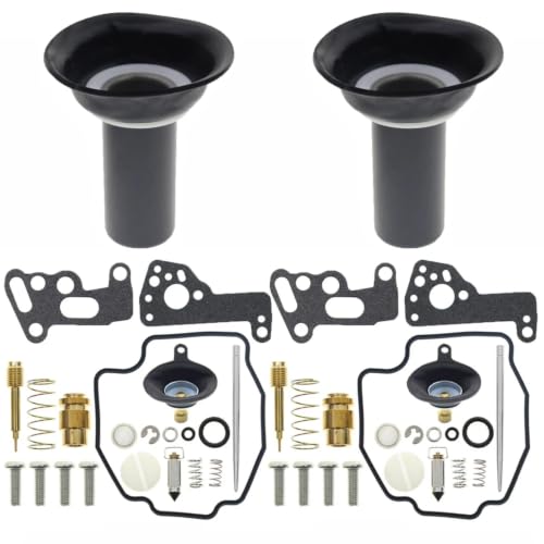 Kit Réparation Carburateur Virago 535 pour Stopper les Fuites d'Essence