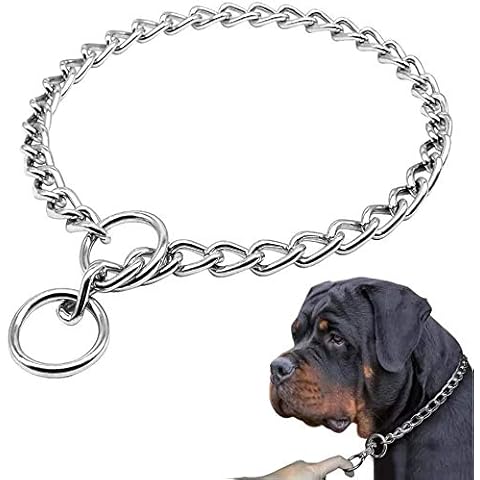 Supet Stainless Steel Dog Choke Chain Collar, Puppy Metal P Chain Slip Collar Pet Training Walking Choker Cover
