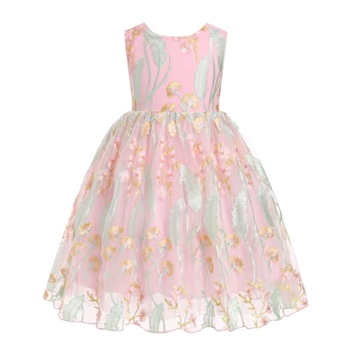 IMEKIS Girls Embroidered Flower Dress Kids Princess Sleeveless Tulle Formal Party Evening Dresses 3-10T