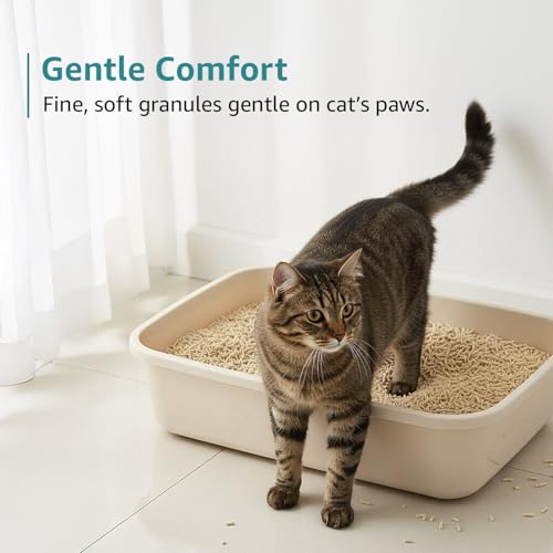 Image of Amazon Basics Premium Tofu Cat Litter | 2.5 Kg | Unscented | Organic | Biodegradable | Flushable | Dust-Free | Instant Clumping
