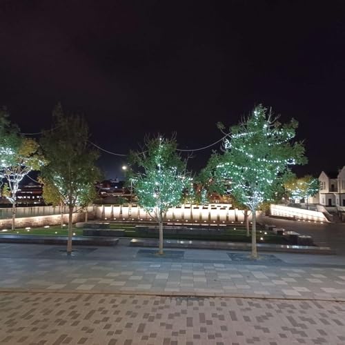 A Tale of One City - and Two Regeneration Sites