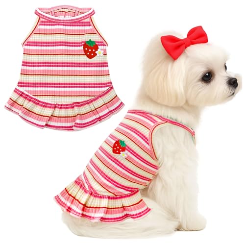 XGDMEIL Cute Small Dog Dress Girl Female Dog Clothes Spring Summer Pet Puppy Cats Striped Dress Outfits for Shih Tzu Yorkies Chihuahua Maltese(Strawberry Pink,Small)