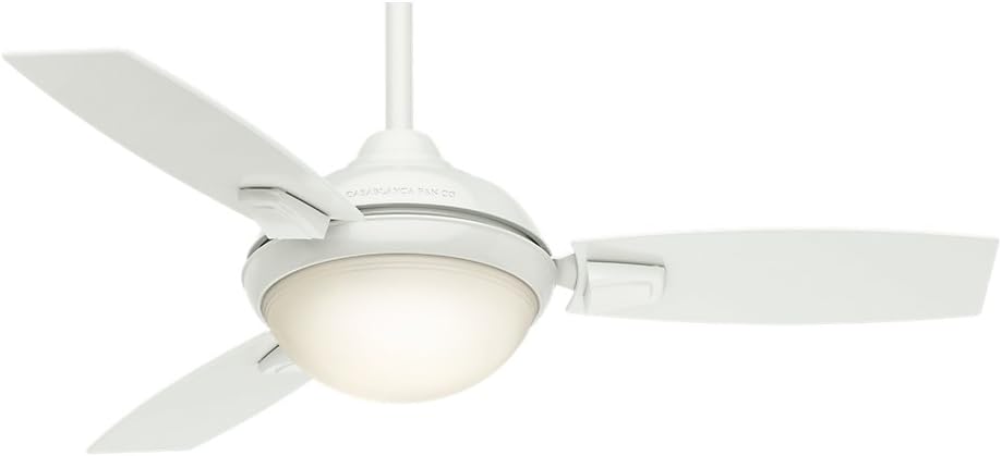 Casablanca Indoor Outdoor Ceiling Fan Light and remote with LED Beauty Ranking TOP16 products