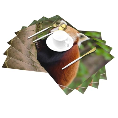Set de table antidérapant et thermorésistant motif petit panda rouge - 5