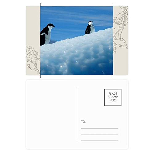 Carte postale manchots de l'Antarctique lot de 20 cartes de remerciement nature