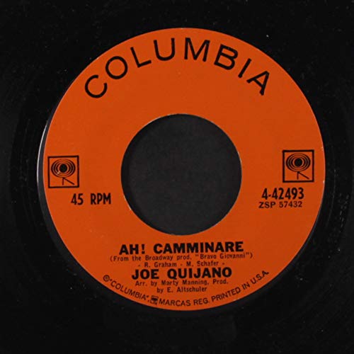 Miniatura 2 de Maria  Ah Camminare